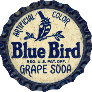 Blue Bird Bottle Cap