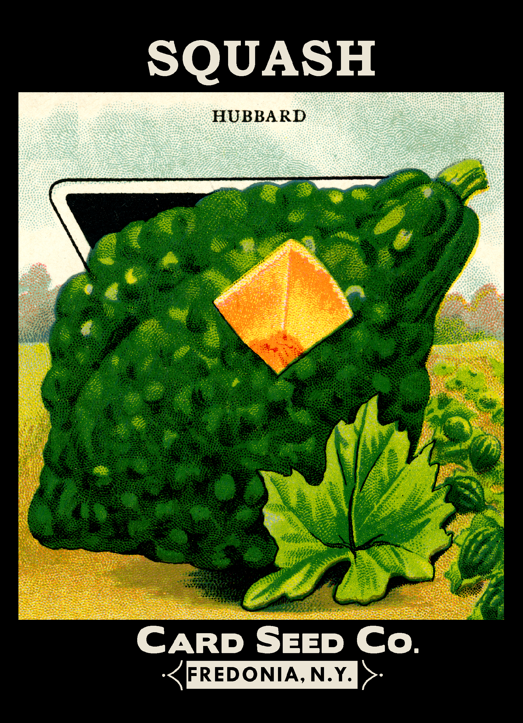 Hubbard Squash Packet