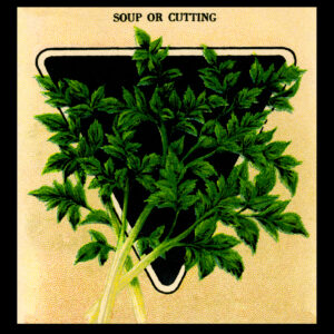 Soup or Cutting Celery Packet