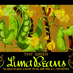 Tiny Green Lima Beans the great Atlantic and Pacific Tea Company New York Label