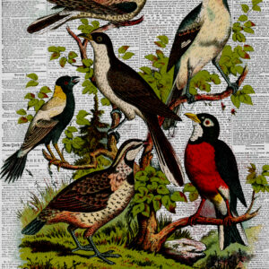 Bird Papers Junk Journal Page