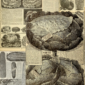 Drum Head Junk Journal Page