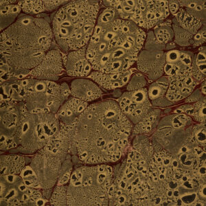 Red Veined Rock Mottled Brown Book Page