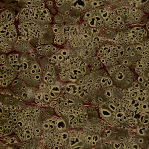 Blood Red Veined Rock Mottled Brown Book Page