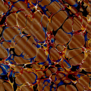 Red Brown Wavy Blue Veined Book Page