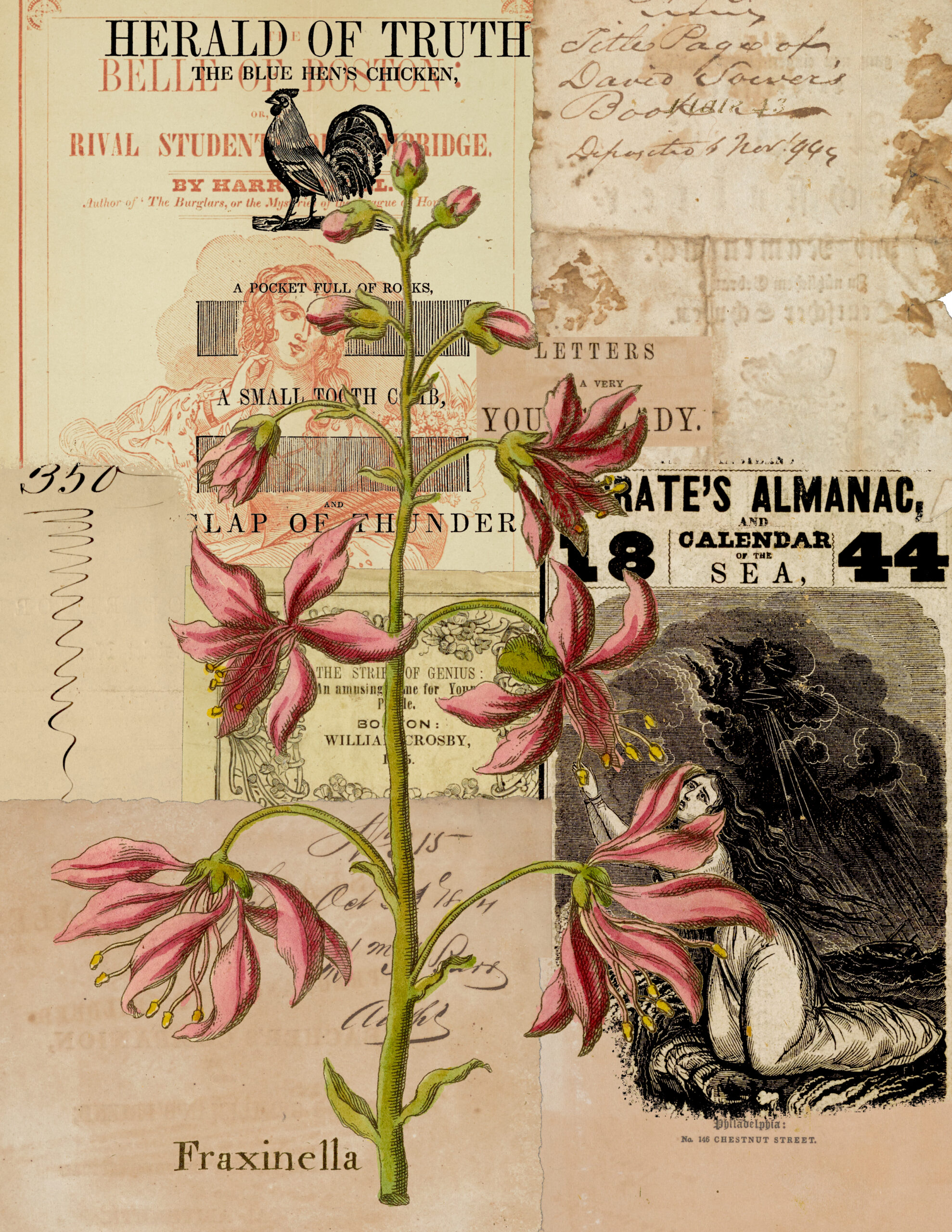 Pirates' Almanac Junk Journal Page