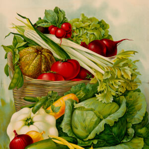Victorian Farm Vegetables