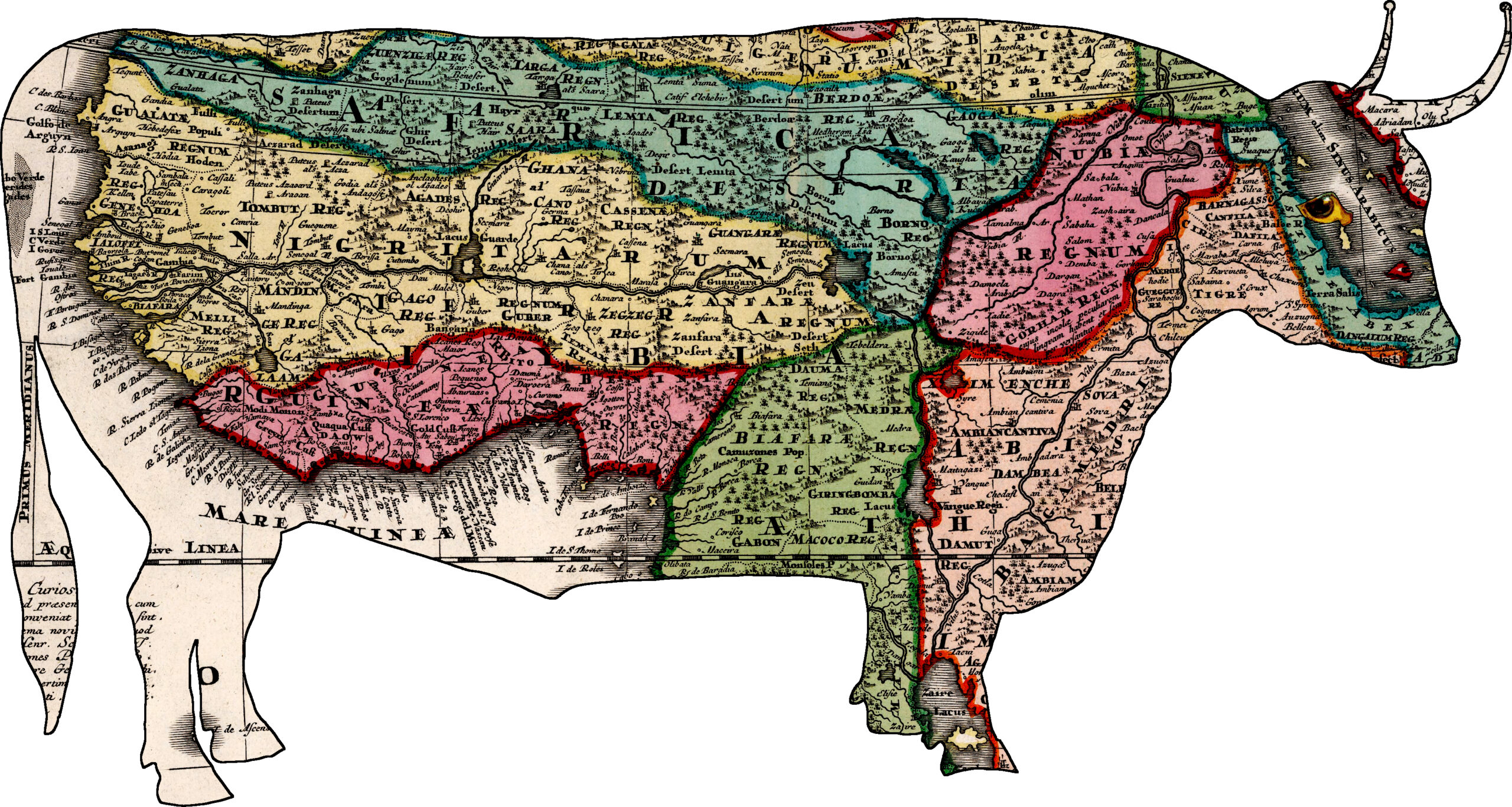 Bull Map Figure